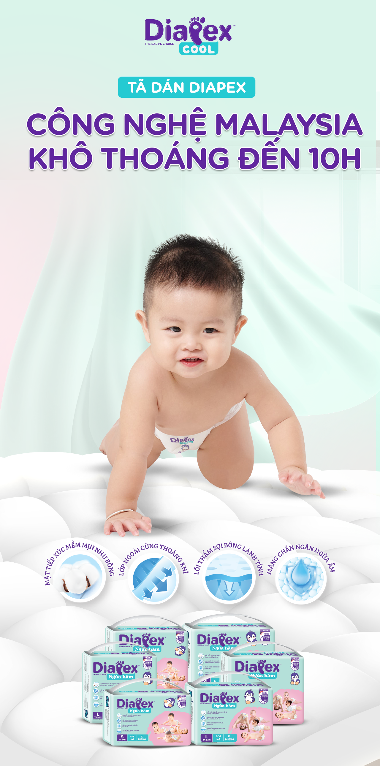 Home Banner2